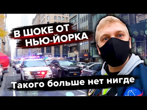 Video: Prava Potujoča Razstava V New Yorku