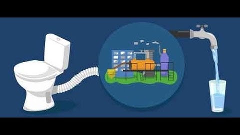 Direct potable water reuse