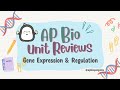 Ap biology review unit 6 gene expression  regulation