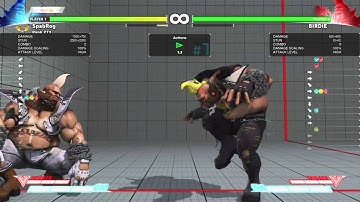[SFV] Birdie Anti V-Reversal Tech