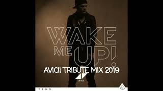 Wake Me Up 2019 (Avicii Tribute)