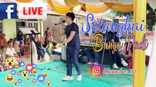 Dangdut Populer_Setangkai Bunga Padi Cover Wanna Bee 🎤 Live perform