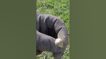 Old Gold Class Ring Found Metal Detecting