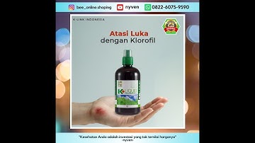 KLOROFIL TERBUKTI SEMBUHKAN LUKA DALAM 2 MINGGU K-LINK MANADO