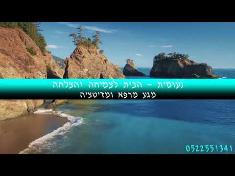 וִידֵאוֹ: עבודת דם: מה זה אומר ולמה חיית המחמד שלך זקוקה לזה (חלק 1: CBC)