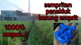 SEMPRITAN PENAKLUK BURUNG EMPRIT