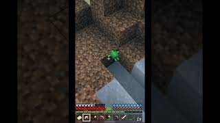 MINECRAFT: CUTE BABY TURTLE! 🐢 #Shorts | SimSkeleton