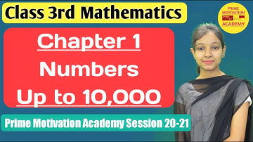 Chapter 1 | Numbers Up to 10,000 | Class 3rd | Mathematics | Full Video in Hindi | Prime Motivation
