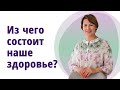 Из чего состоит наше здоровье.