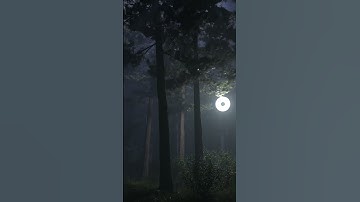 🌱 #blender #3D #art #shorts #animation #simulation #forest #nature #escapism #corecore #radiohead