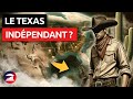 Pourquoi le texas a dclar la guerre  washington  diplometrics by visualpolitik fr