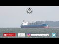 AWESOME SANTOS PORT SHIPSPOTTING, March 2021 #114