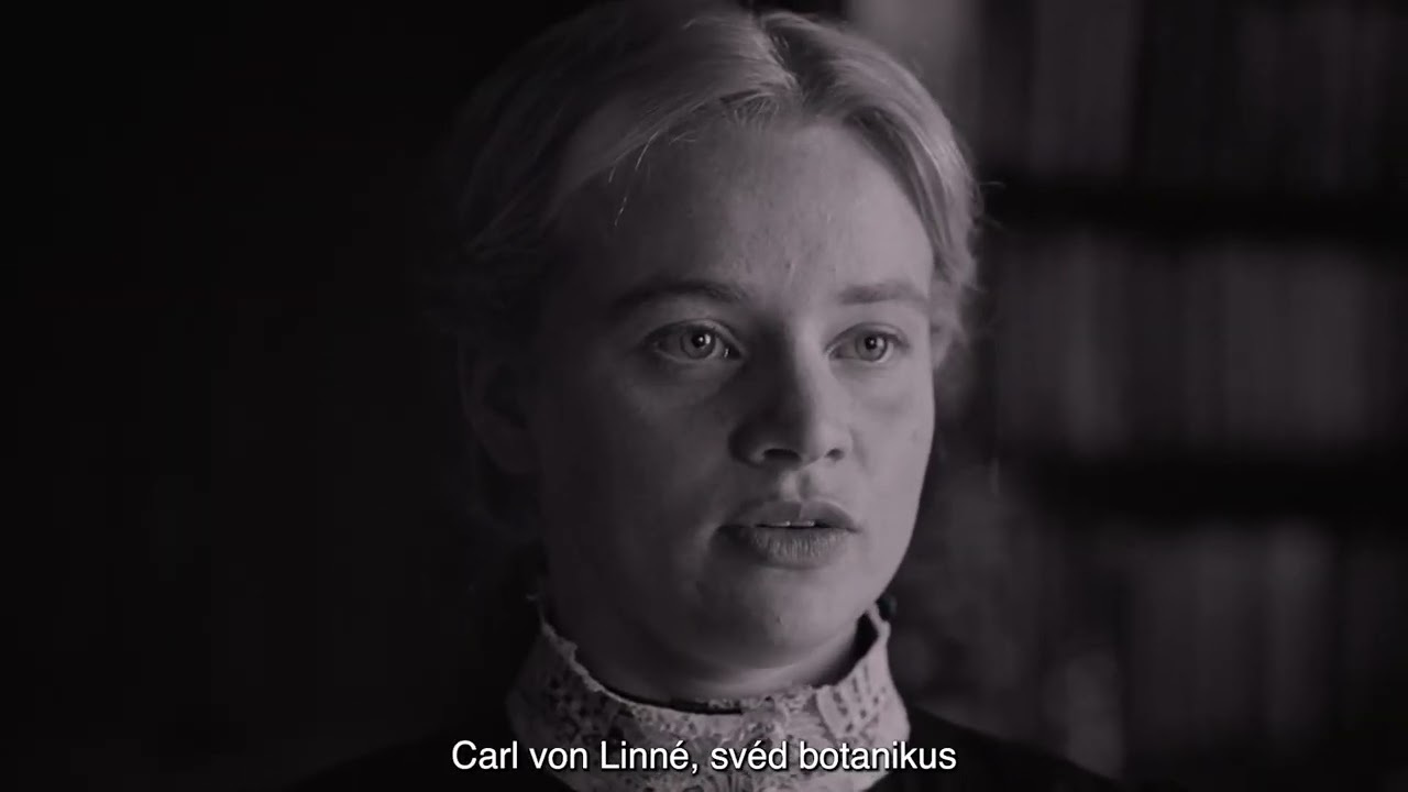 SVENK (02.07) – 🎥 Így készült a Csendes barát vizuális világa