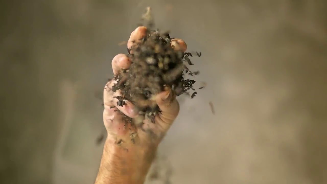 Tata Tea Gold | Commercial | Tata | Voice of Monaz