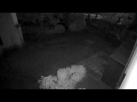 Wykrywanie osób w nocy - Netatmo Inteligentna Kamera Zewnętrzna z Alarmem