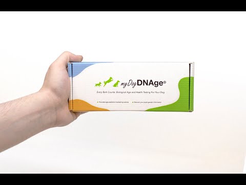 Collecting a sample for a myDogDNAge® test is easy.