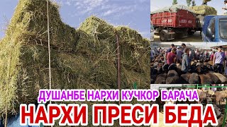 БАРОИ ҚУРБОНИ ГУСФАНДИ ОРГИНАЛ ҚУЧҚОР СОВЛУҚ БАРА ДУШАНБЕ ЛЕНСКИЙ РАЙОН НАРХИ НАВО 30.06.2021