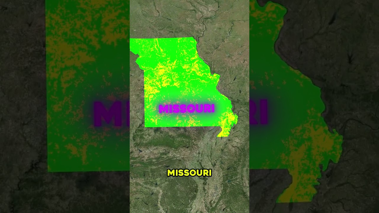Top 5 U S  States with the Highest Murder Rates! 