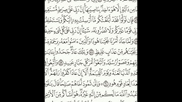 سورة هود 54-62 (٢٢٨)     Sheikh Anas AlHibri