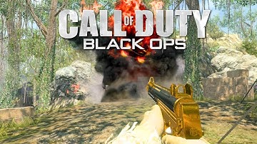 Black Ops 1 Capture the Flag in 2025: Multiplayer Gameplay (No Commentary)