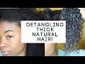 Detangling  3c 4a Thick Natural Hair | Quick & Easy