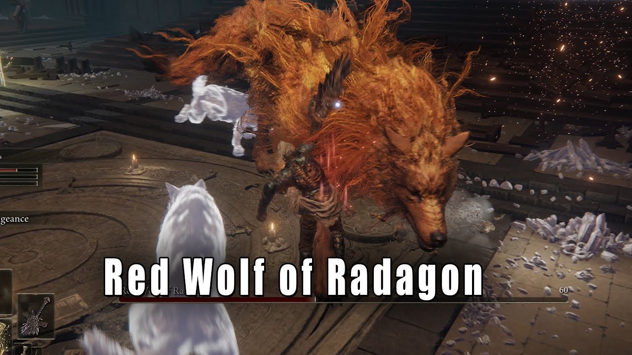 Elden Ring 🏆 Red Wolf of Radagon Location & Boss Fight YouTube