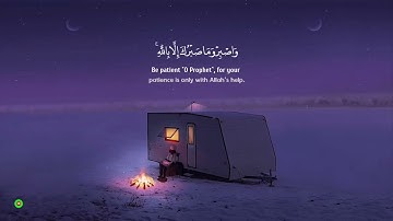 حالات واتس اب 💙تلاوة خاشعة للشيخ وديع اليمني 💛