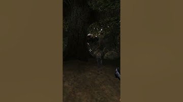 Killing the adoring fan in Morrowind every day until Skywind and Skyblivion are released Day - 207