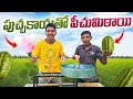 Making cotton candy using water melon     telugu experiments