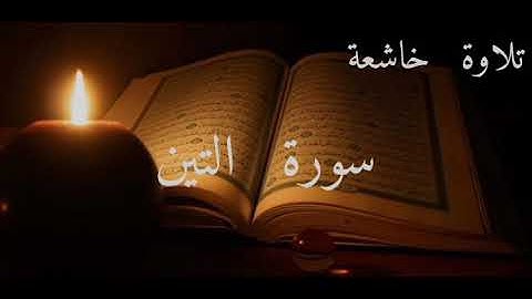 سورة التين تلاوة خاشعة