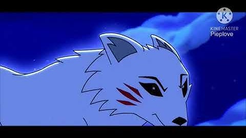 Running with the wolves // Akita tribute