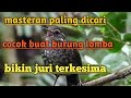 Masteran Murai Batu Tajam Mp3 - Mp4 Download