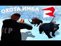 ХОРОШИЙ + ПО ДЕНЬГАМ НАШЕЛ МНОГО МЕДВЕДЕЙ в GTA RODINA RP