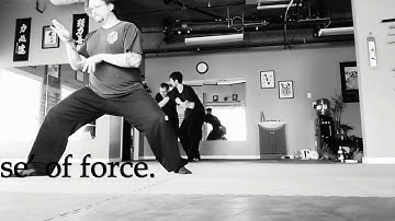 Fa Jin Study - Slow Chen Work