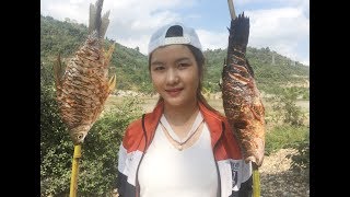 Hlua Nkauj Zoo Nkauj Ci Ntse Tom Hav Zoov