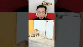 Udah Mirip Tabung Kayak Gini