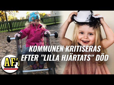 Video: Hittades hjärtmuskeln?