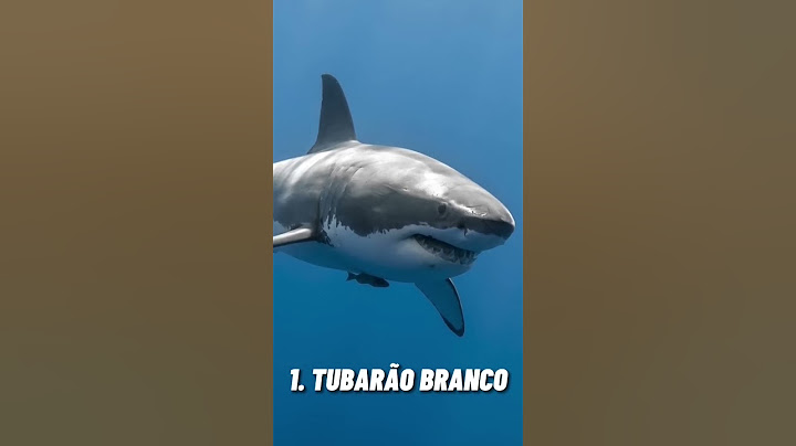 Estes São Os Animais Mais Perigosos Do Mundo #shorts