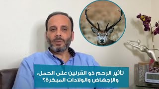 تأثير الرحم ذو القرنين على الحمل، والإجهاض والولادات المبكرة؟