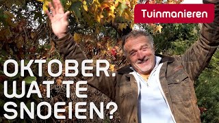 Download Lagu Wat te snoeien in oktober | Tuinmanieren MP3 Download Lagu Wat te snoeien in oktober | Tuinmanieren MP3