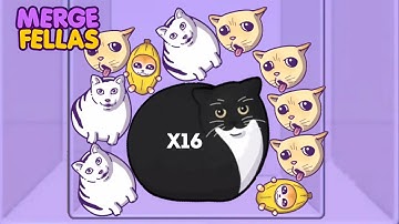 BRAINROT: MERGE FELLAS CATS  | Suika Game Gameplay Walkthrough - Reaching Max Level!