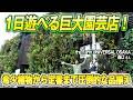 一日遊べる巨大園芸店!希少植物から定番まで圧倒的な品ぞろえ(the Farm UNIVERSAL OSAKA)~ガーデンドクターTV89