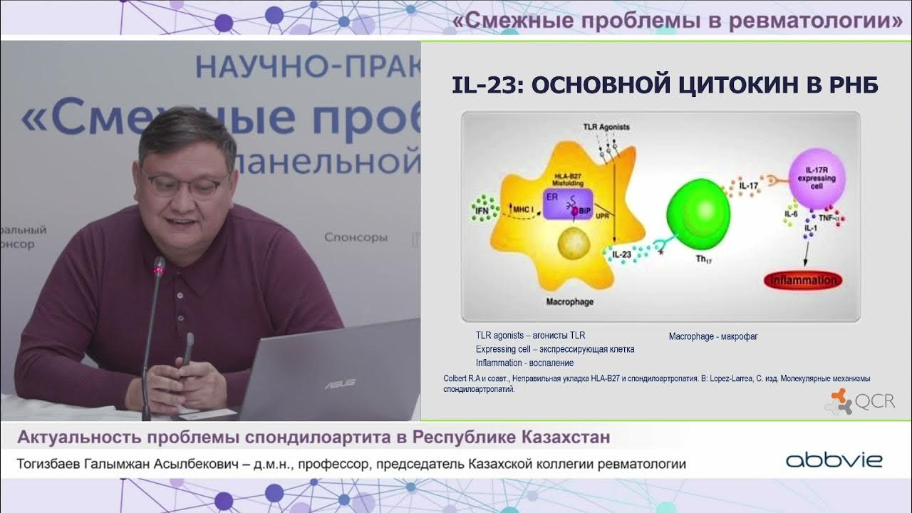 смежные проблемы. смежные проблемы. в. отличие смежных прав от авторских прав. теория отображений.