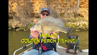 Insane Golden Perch fishing on the Murray River!