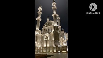 سورة النبأ (إنهم كانوا لايرجون حسابا) تلاوة مؤثرة