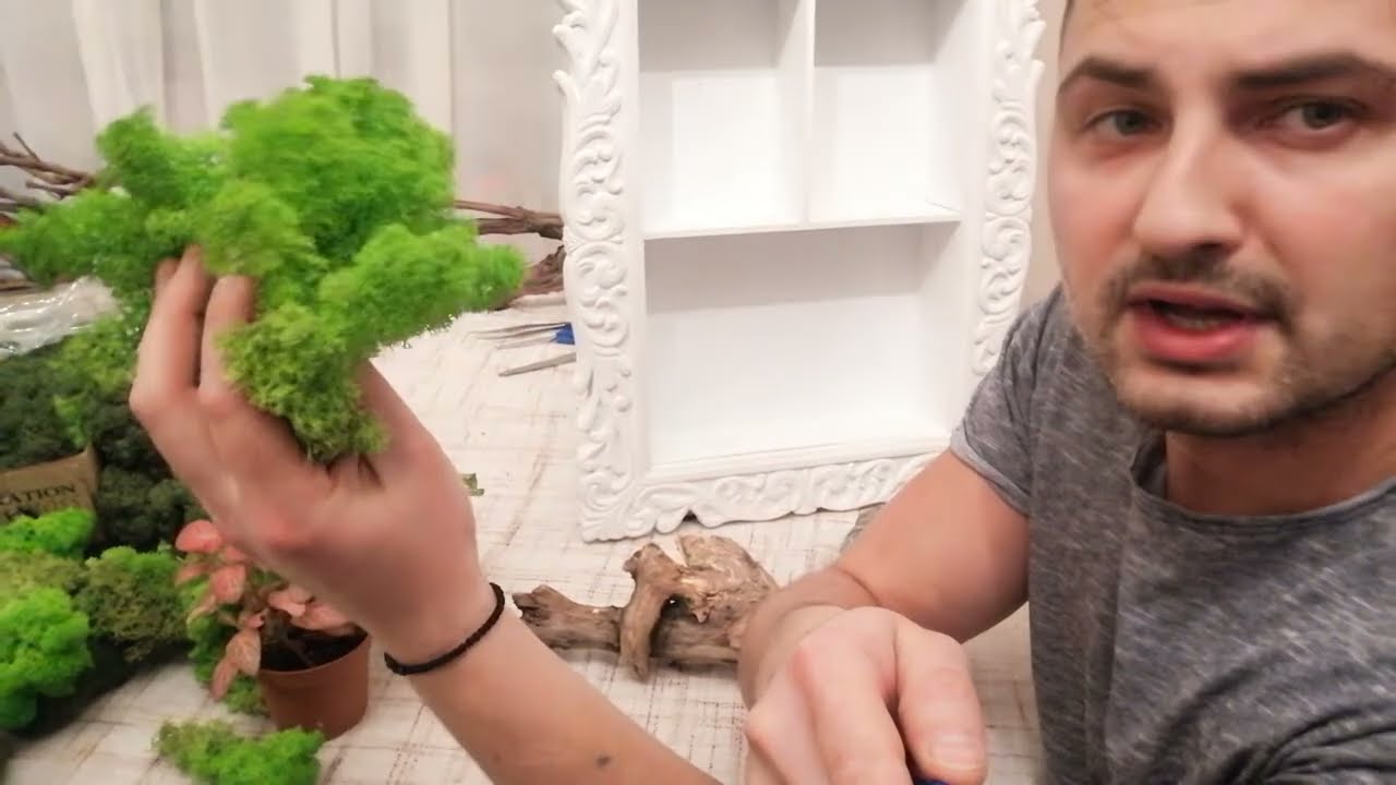 Cum se face un tablou din licheni stabilizati 3D . Partea I