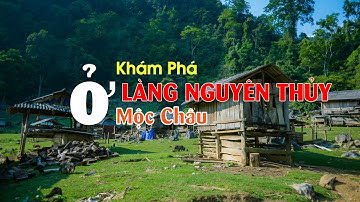 Khám phá ngôi làng đậm chất "NGUYÊN THỦY" ở Mộc Châu | Vivu Mộc Châu