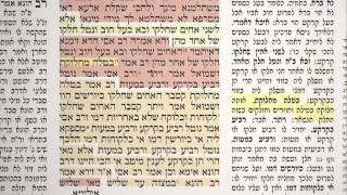 מסכת בבא קמא דף ט׳ 9