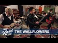 The Wallflowers - “Roots and Wings” Performance 