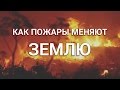 Как пожары меняют Землю